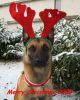 Dateiname=Kieron_Xmas.jpg
Dateigröße=74KB
Abmessungen: 500x625
hinzugefügt am: 22. Dezember 2009 Kieron_Xmas.jpg
